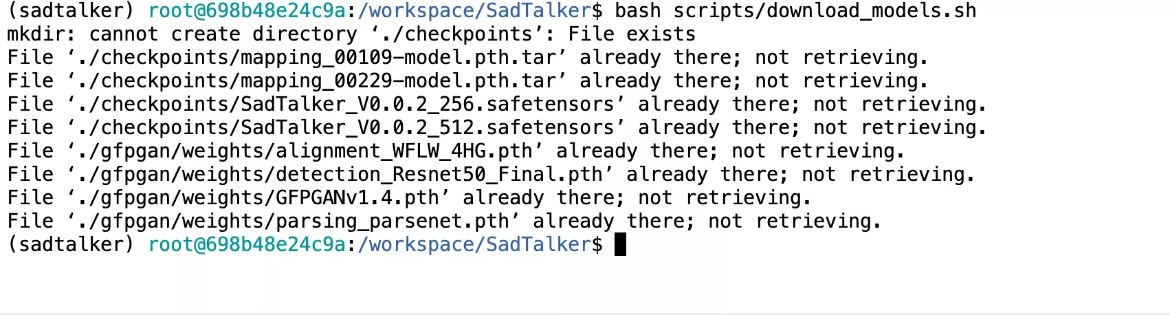 bash scripts/download_models.sh execution in terminal