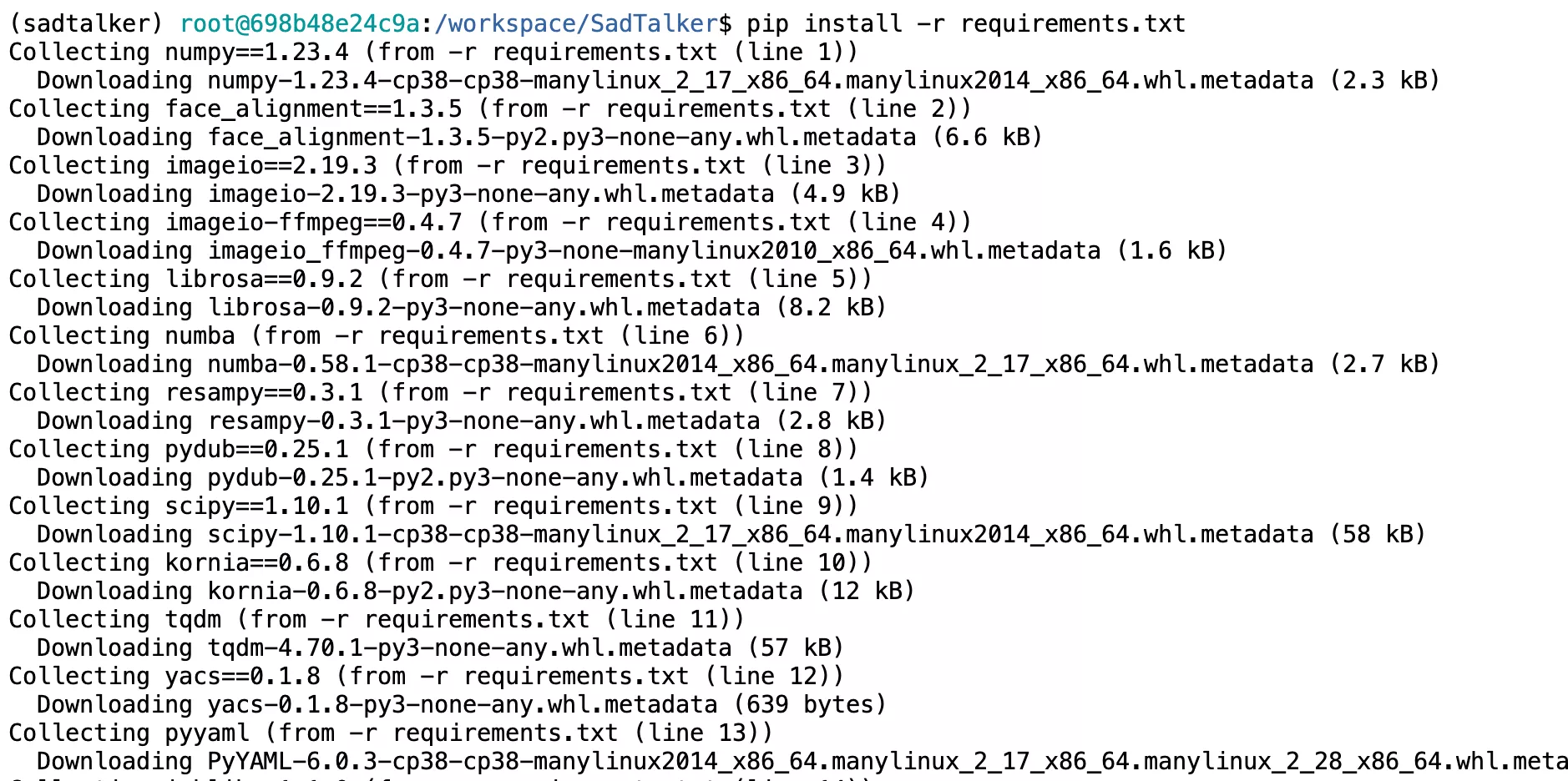 pip install -r requirements.txt output